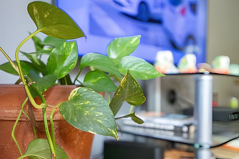 In Palermo with excellent WiFi! - 100% Equipped