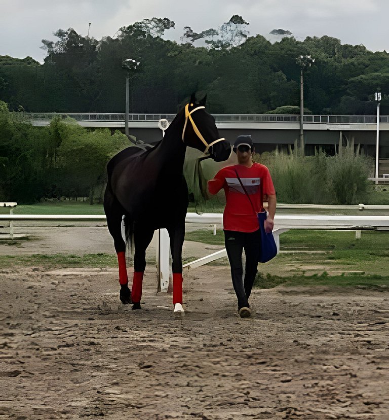 In Palermo with excellent WiFi! - 100% Equipped