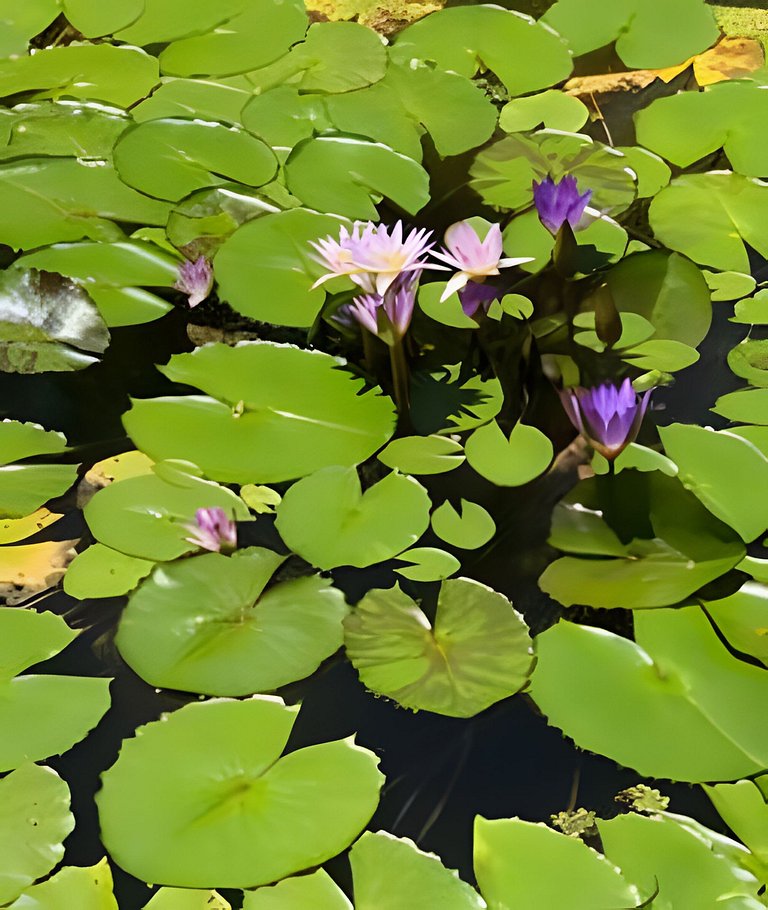 In Palermo with excellent WiFi! - 100% Equipped