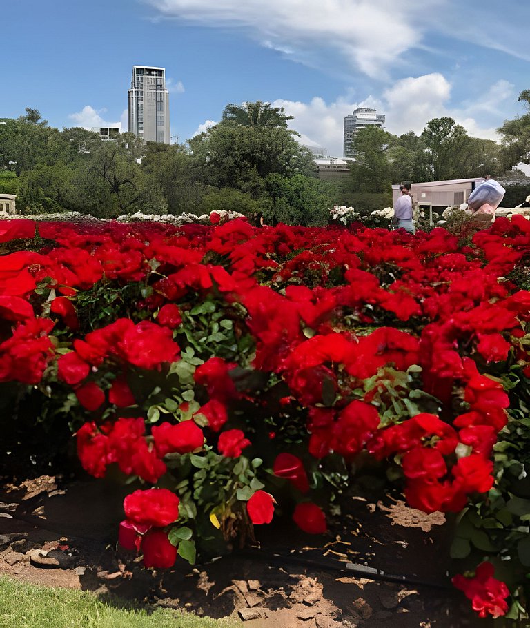 In Palermo with excellent WiFi! - 100% Equipped