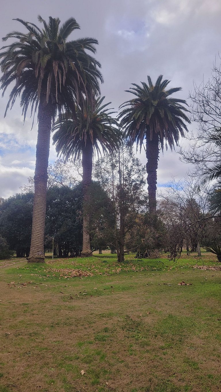 Casa en Estancia - Ideal grupos