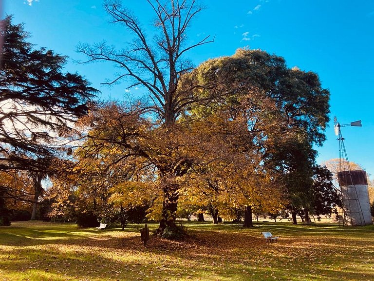 Tudor House - Stay in Chascomús