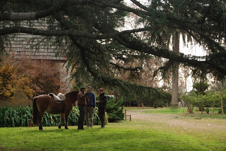 Casa Tudor - Estancia en Chascomús - Con desayuno
