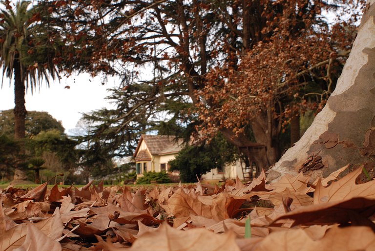 Casa en Estancia - Ideal grupos