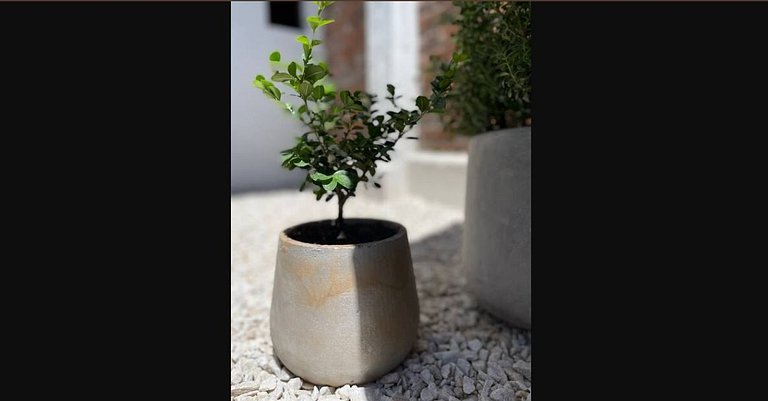 16 people - 2 houses - With grill and garage.