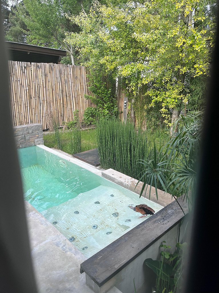 Escapada premium a metros del Mar – Mar Azul